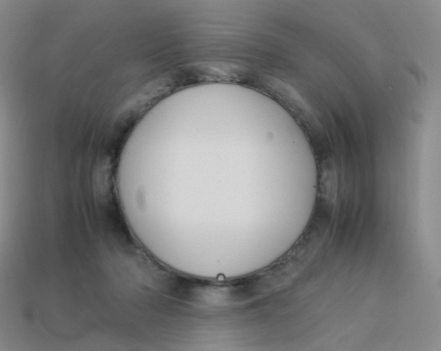 X0000113370318200910131326