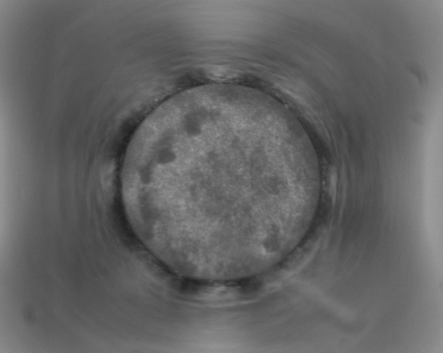 X0000113370319200910131326