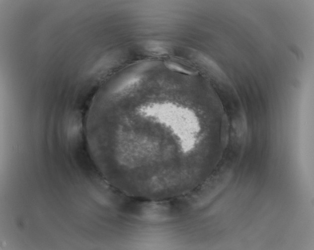 X0000113370320200910131326
