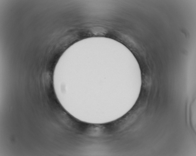 X0000113370321200910131326