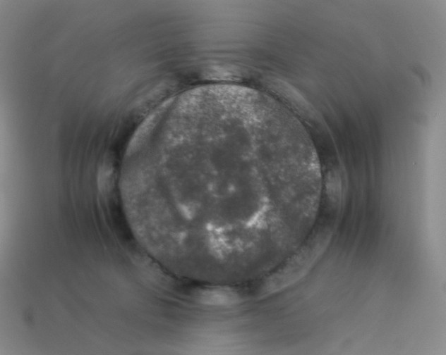 X0000113370322200910131326