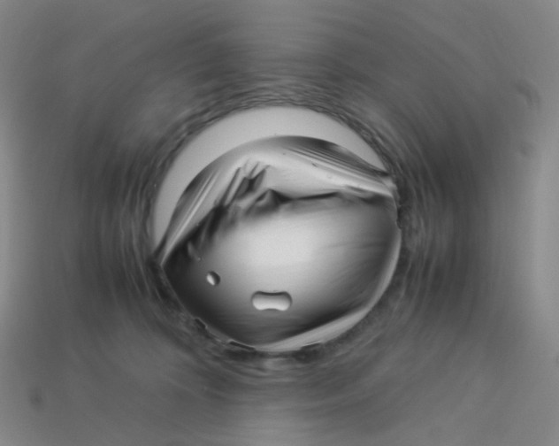 X0000113370324200910131326