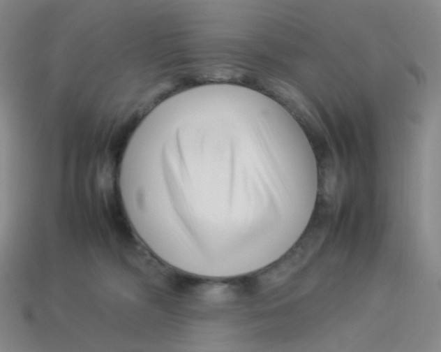 X0000113370326200910131326