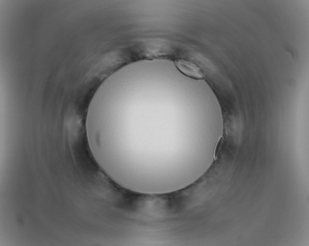X0000113370327200910131326