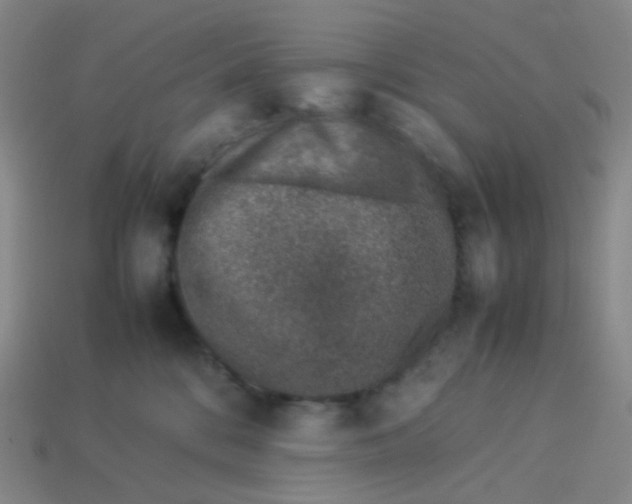 X0000113370328200910131326
