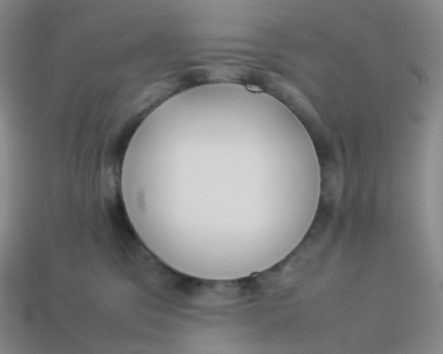 X0000113370329200910131326