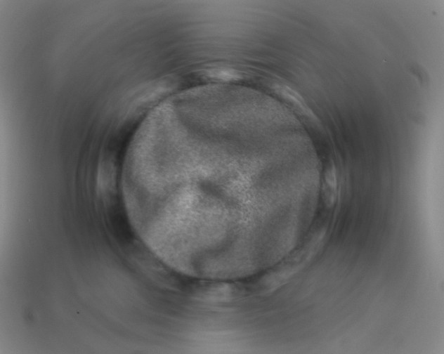 X0000113370330200910131326