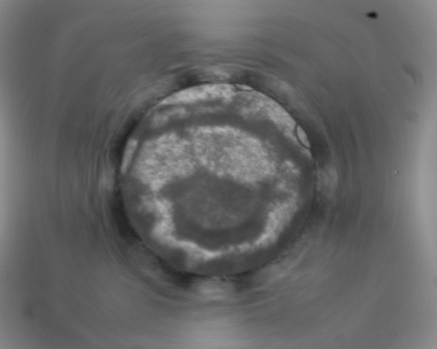 X0000113370331200910131326