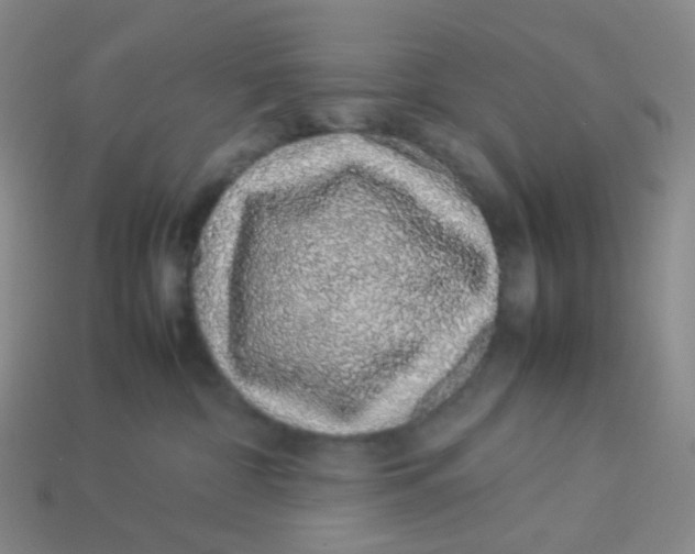 X0000113370332200910131326