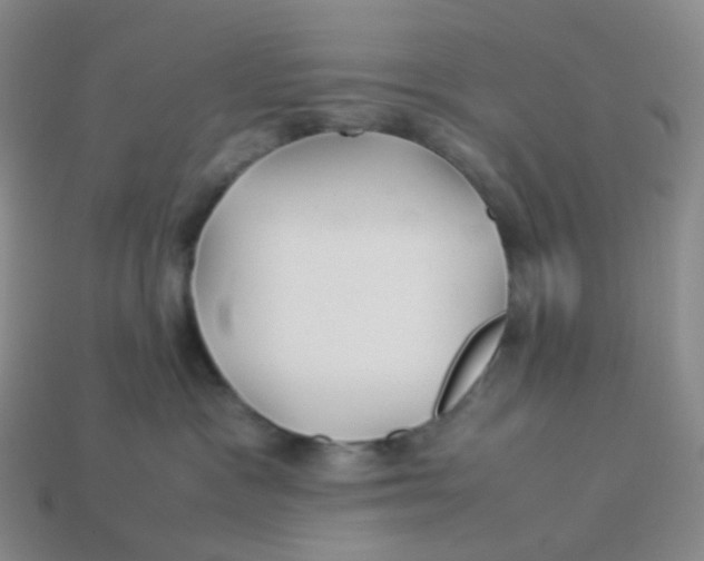 X0000113370333200910131326