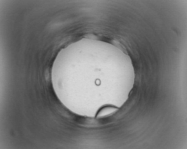 X0000113370335200910131326
