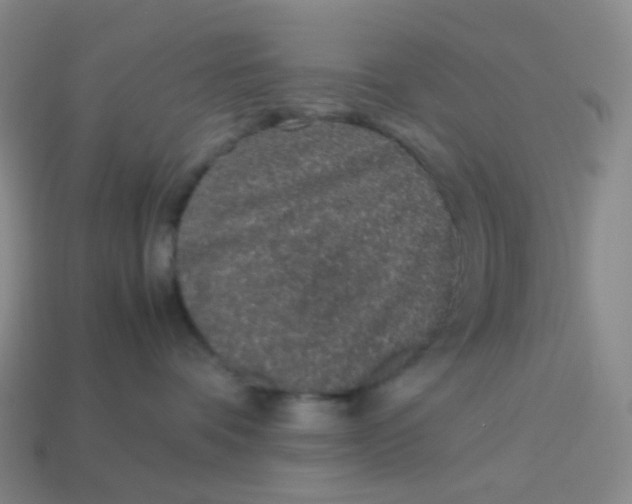 X0000113370336200910131326