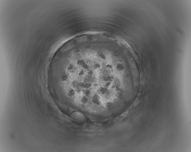 X0000113370337200910131325