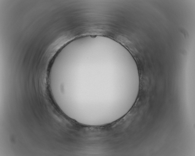 X0000113370338200910131325