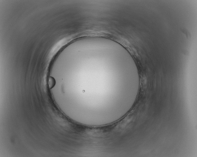 X0000113370340200910131325
