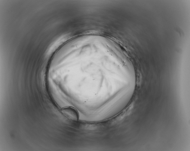 X0000113370341200910131325