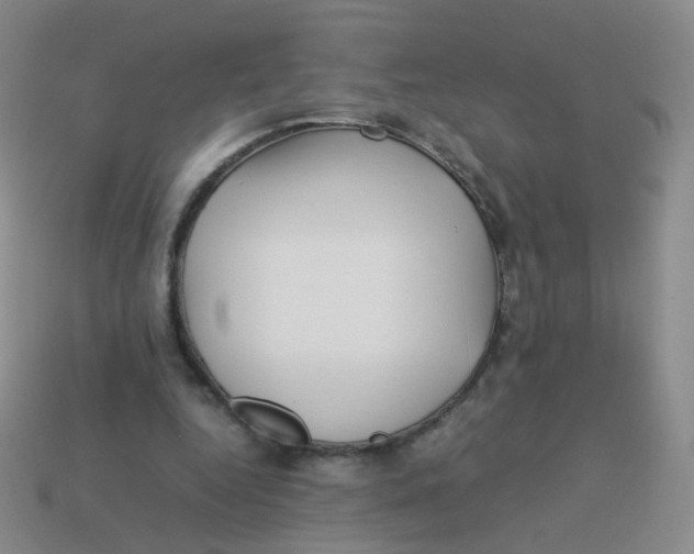 X0000113370344200910131325