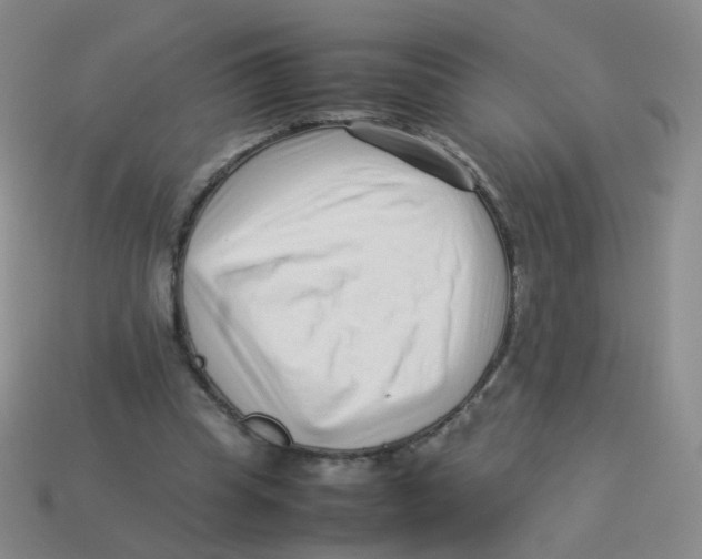 X0000113370345200910131325