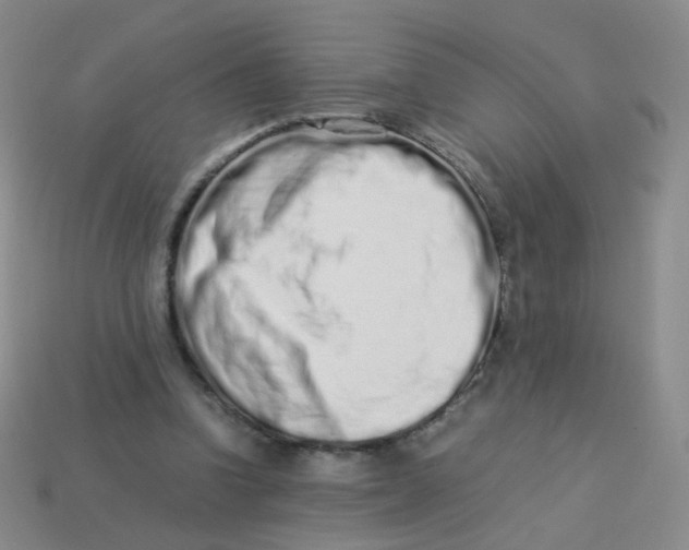 X0000113370346200910131325