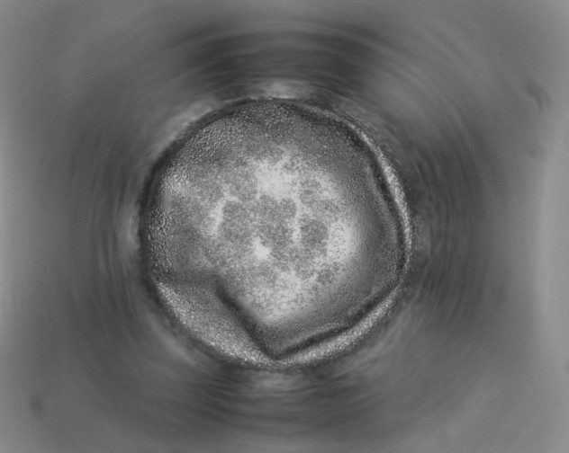 X0000113370347200910131325