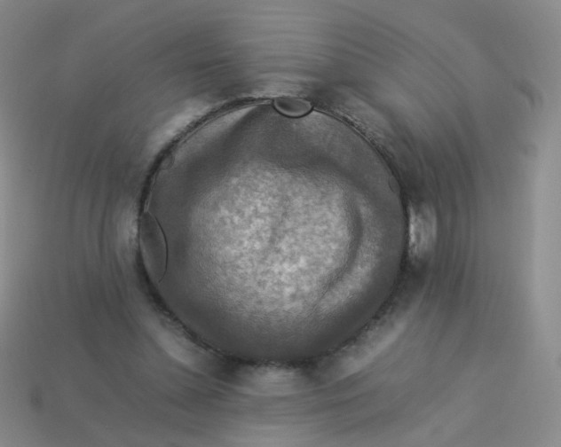 X0000113370348200910131325