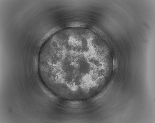 X0000113370349200910131325