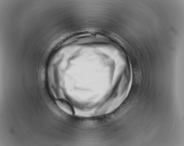 X0000113370350200910131325