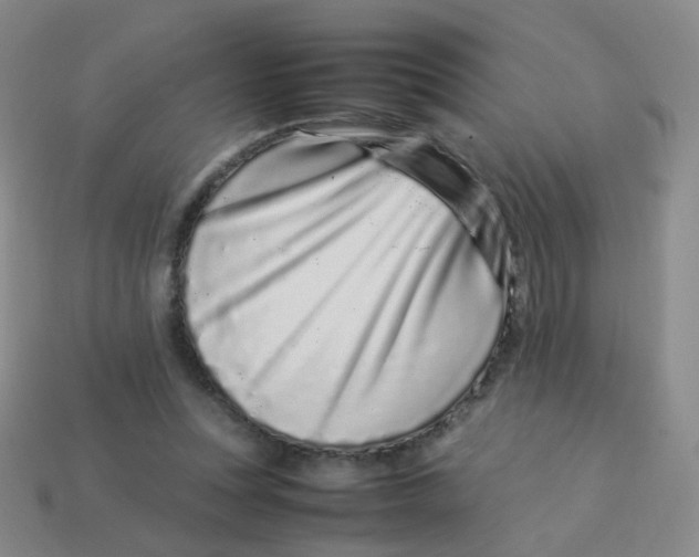 X0000113370351200910131325