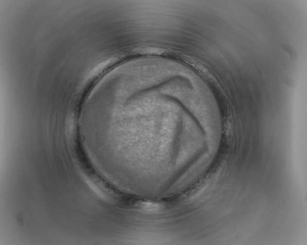 X0000113370352200910131325