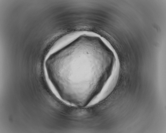 X0000113370353200910131325
