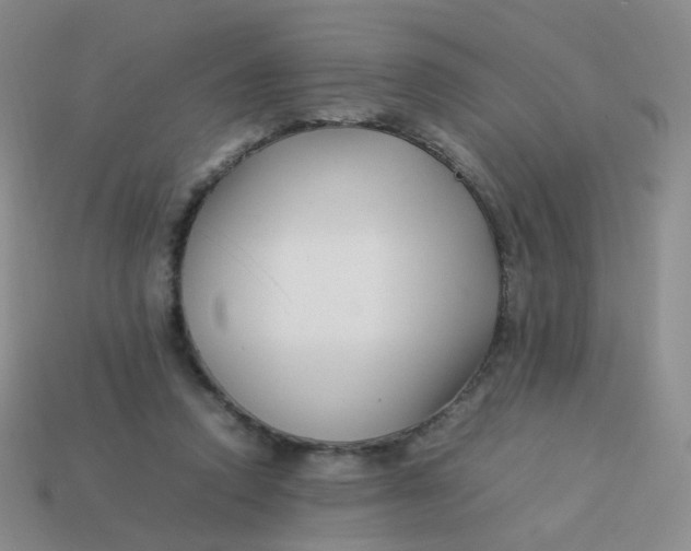 X0000113370354200910131325