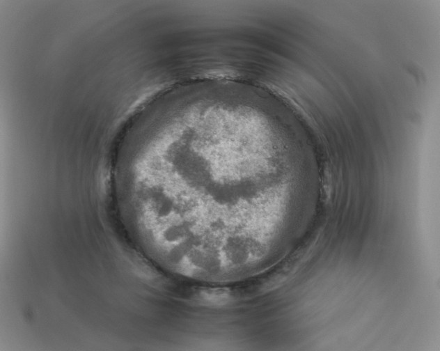 X0000113370355200910131325
