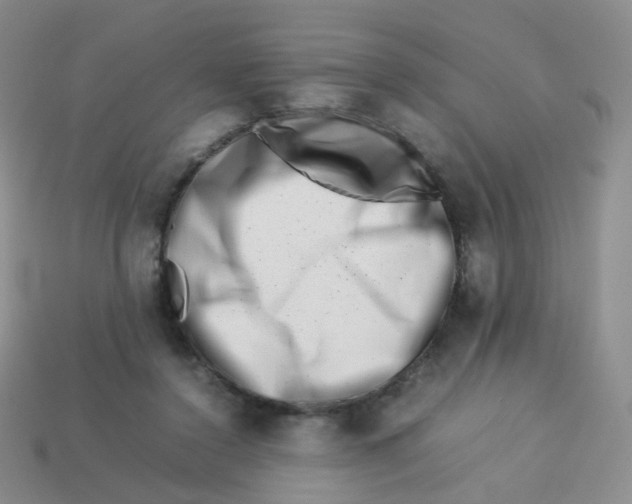 X0000113370356200910131325