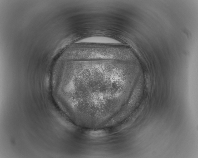 X0000113370357200910131325