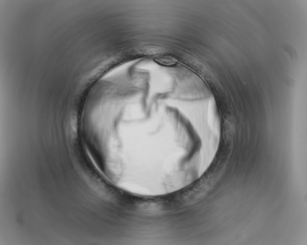 X0000113370358200910131325