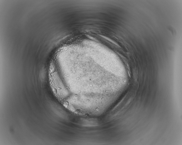 X0000113370359200910131325
