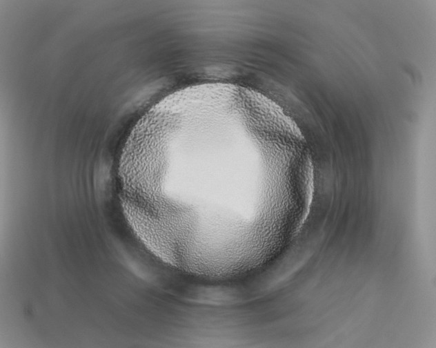 X0000113370360200910131325