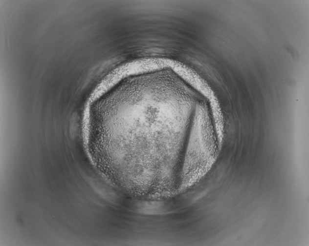 X0000113370361200910131325