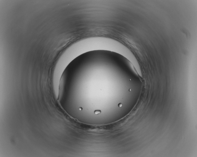 X0000113370362200910131325