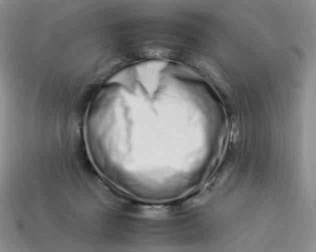 X0000113370363200910131325