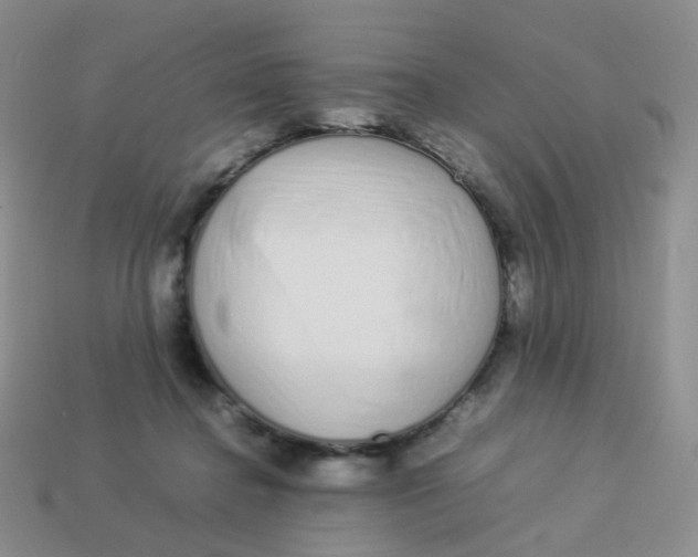X0000113370364200910131325