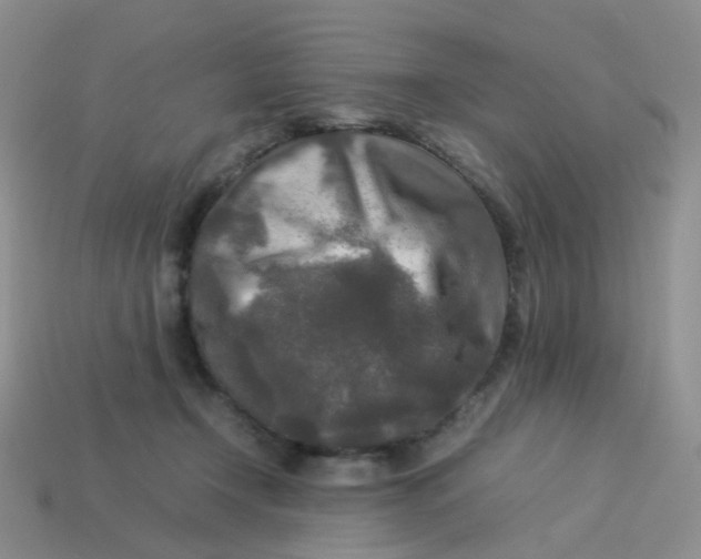 X0000113370366200910131325