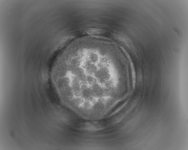 X0000113370367200910131325