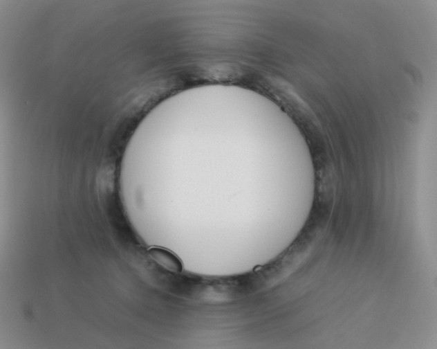X0000113370368200910131325
