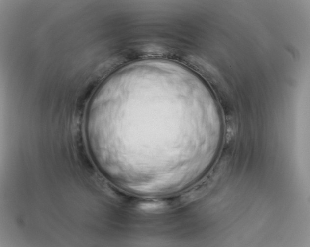 X0000113370369200910131325