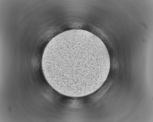 X0000113370370200910131325