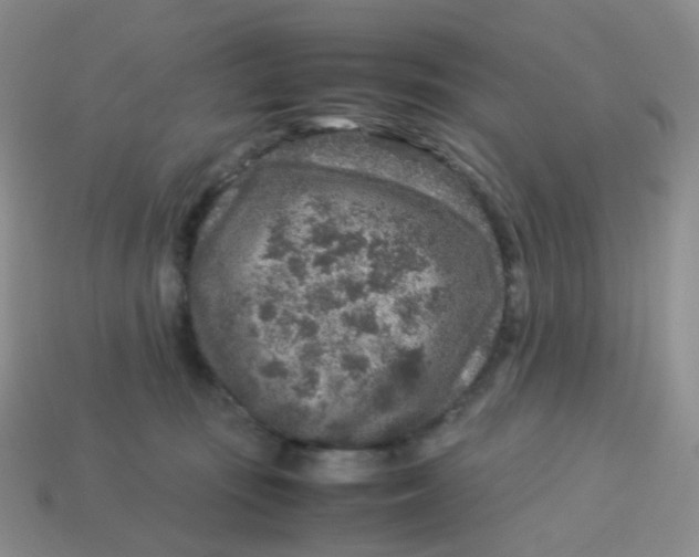 X0000113370371200910131325