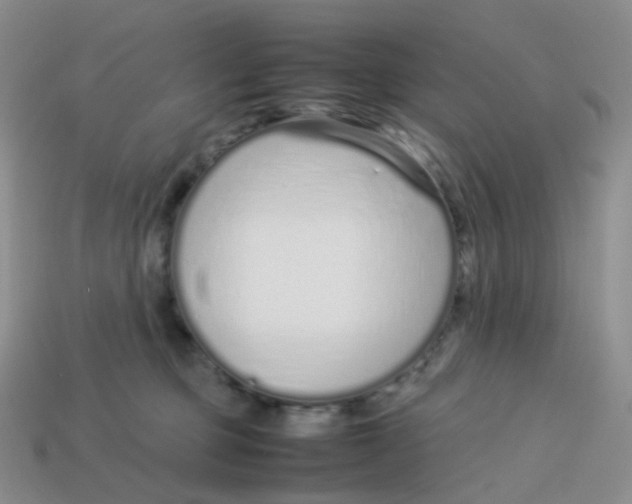 X0000113370373200910131326