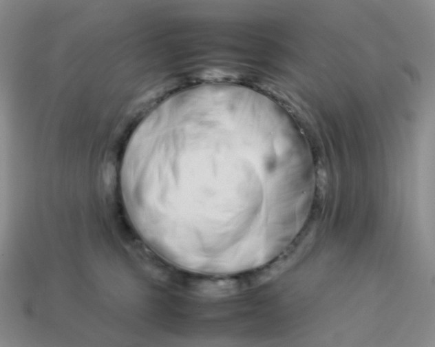 X0000113370375200910131326