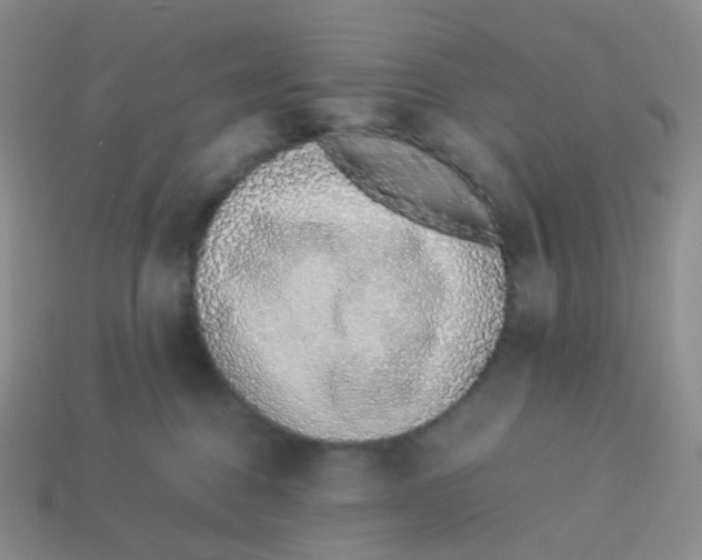 X0000113370376200910131326